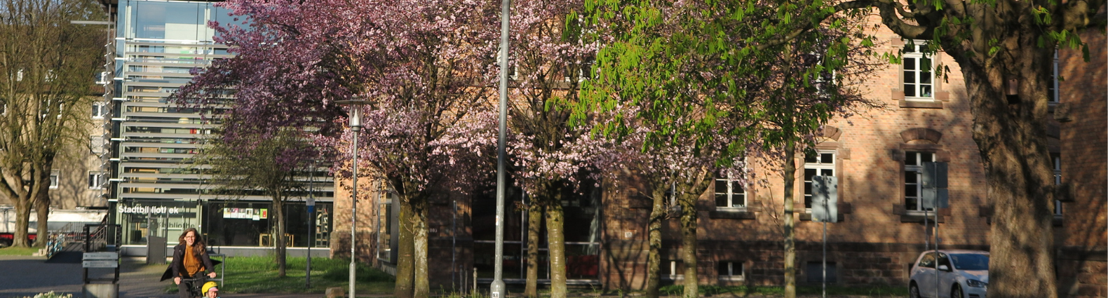 Sonnige Frühlingsansicht der Stadtbibliothek von der Seite aus